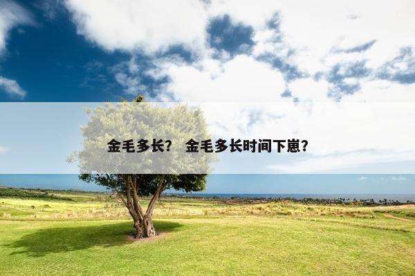 金毛多长？ 金毛多长时间下崽？