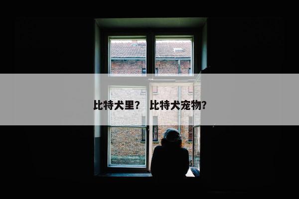 比特犬里？ 比特犬宠物？
