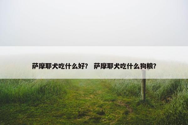 萨摩耶犬吃什么好？ 萨摩耶犬吃什么狗粮？