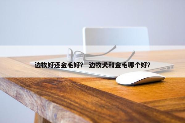 边牧好还金毛好？ 边牧犬和金毛哪个好？