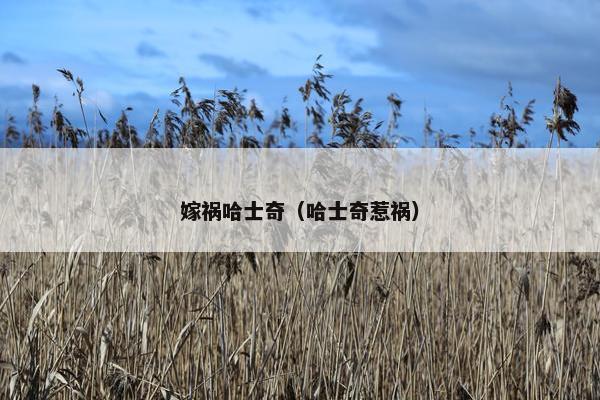 嫁祸哈士奇（哈士奇惹祸）