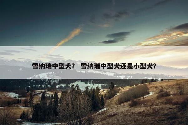 雪纳瑞中型犬？ 雪纳瑞中型犬还是小型犬？