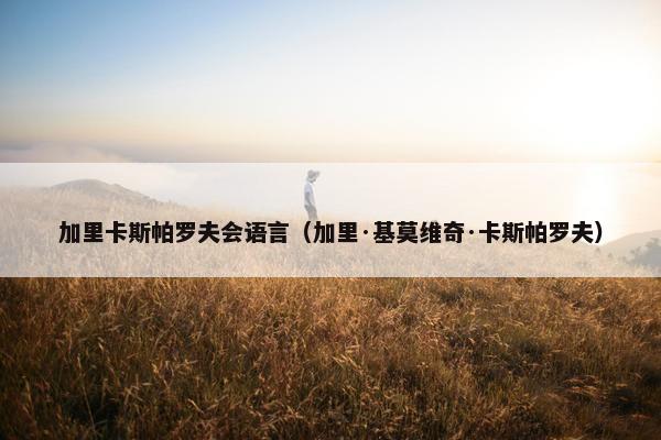 加里卡斯帕罗夫会语言（加里·基莫维奇·卡斯帕罗夫）