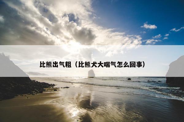 比熊出气粗（比熊犬大喘气怎么回事）
