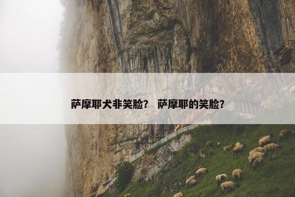 萨摩耶犬非笑脸？ 萨摩耶的笑脸？