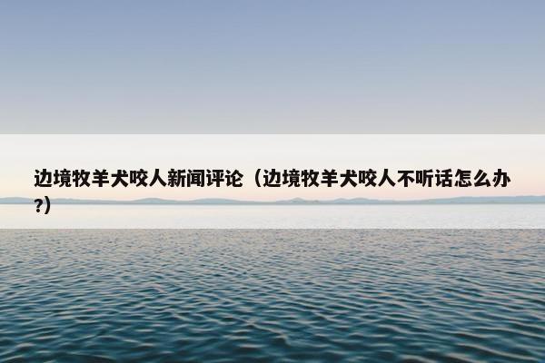 边境牧羊犬咬人新闻评论（边境牧羊犬咬人不听话怎么办?）