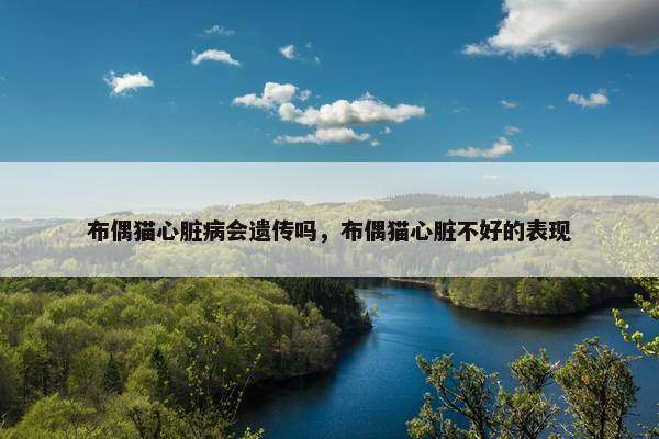 布偶猫心脏病会遗传吗，布偶猫心脏不好的表现