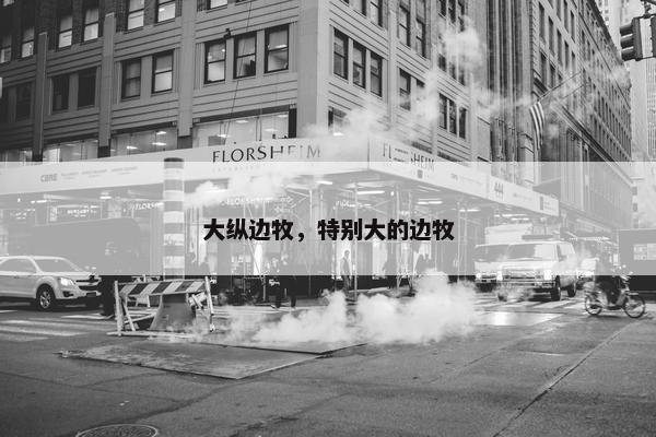 大纵边牧，特别大的边牧