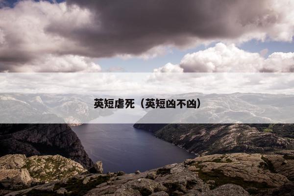 英短虐死（英短凶不凶）