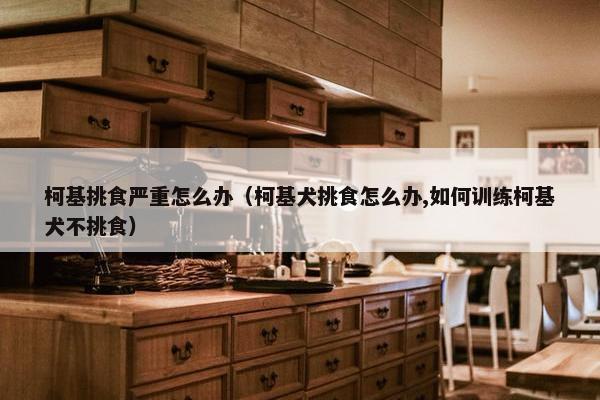 柯基挑食严重怎么办（柯基犬挑食怎么办,如何训练柯基犬不挑食）