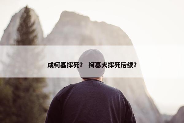 成柯基摔死？ 柯基犬摔死后续？
