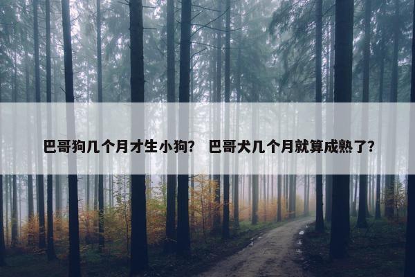 巴哥狗几个月才生小狗？ 巴哥犬几个月就算成熟了？