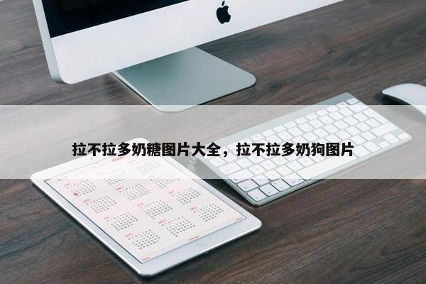 拉不拉多奶糖图片大全，拉不拉多奶狗图片