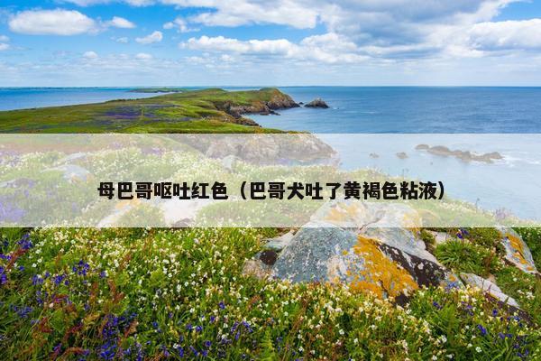 母巴哥呕吐红色（巴哥犬吐了黄褐色粘液）