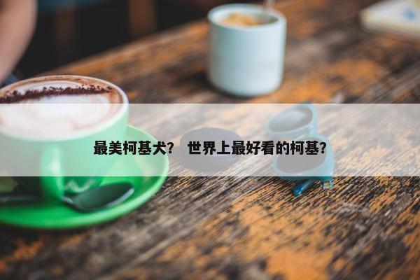 最美柯基犬？ 世界上最好看的柯基？