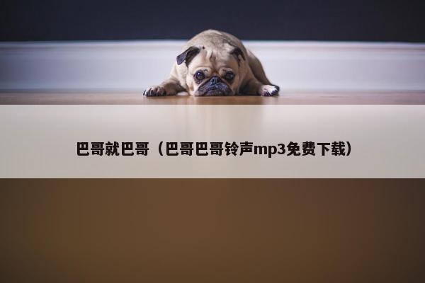 巴哥就巴哥（巴哥巴哥铃声mp3免费下载）