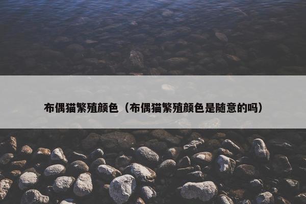 布偶猫繁殖颜色（布偶猫繁殖颜色是随意的吗）