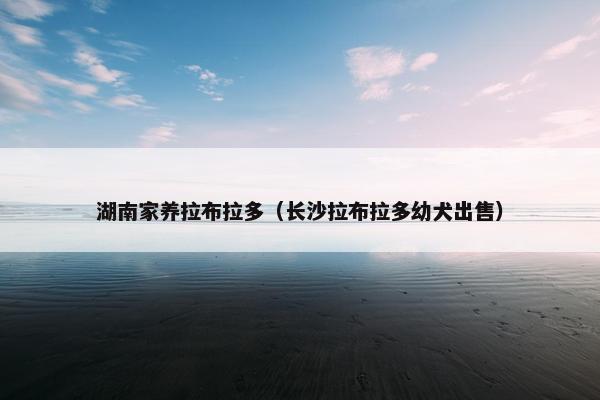 湖南家养拉布拉多（长沙拉布拉多幼犬出售）