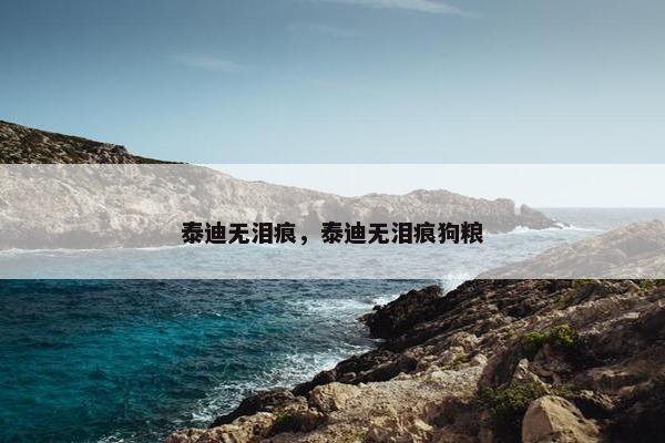 泰迪无泪痕，泰迪无泪痕狗粮