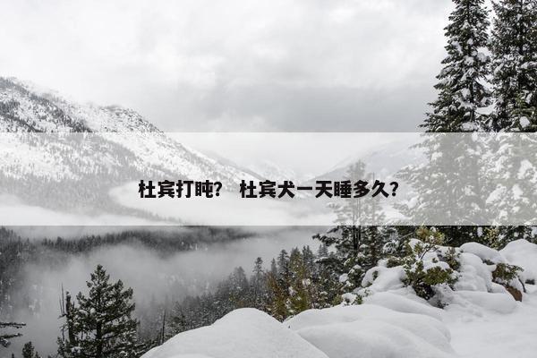 杜宾打盹？ 杜宾犬一天睡多久？