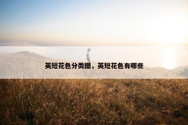英短花色分类图，英短花色有哪些
