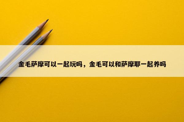 金毛萨摩可以一起玩吗，金毛可以和萨摩耶一起养吗