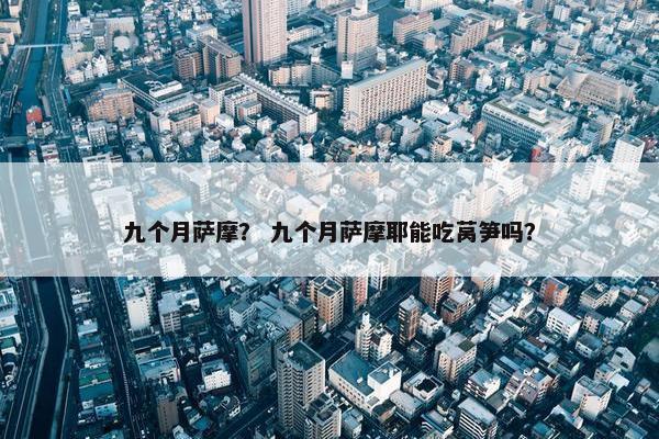 九个月萨摩？ 九个月萨摩耶能吃莴笋吗？