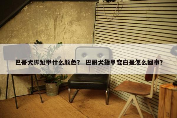 巴哥犬脚趾甲什么颜色？ 巴哥犬指甲变白是怎么回事？