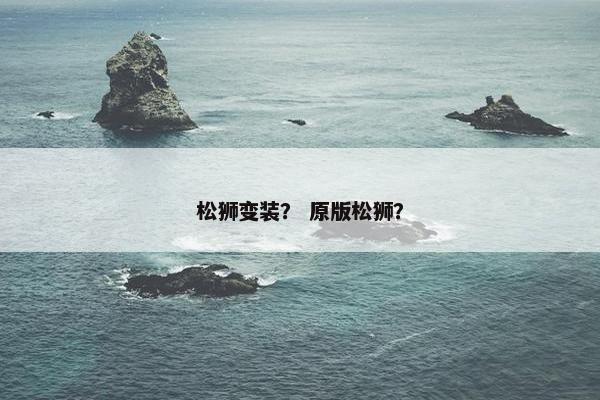 松狮变装？ 原版松狮？