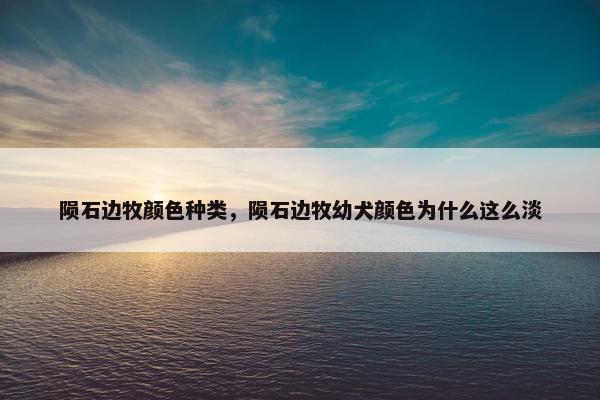 陨石边牧颜色种类，陨石边牧幼犬颜色为什么这么淡