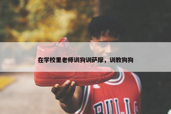 在学校里老师训狗训萨摩，训教狗狗