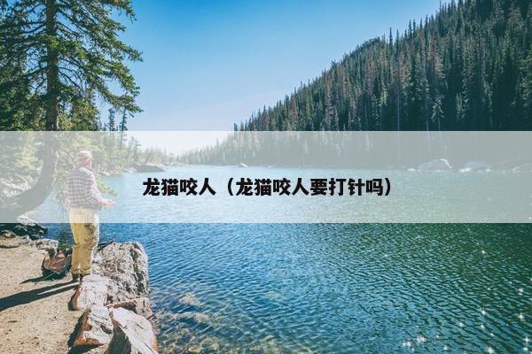 龙猫咬人（龙猫咬人要打针吗）
