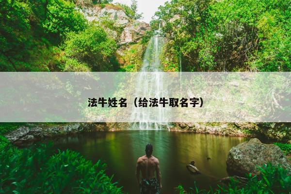 法牛姓名（给法牛取名字）