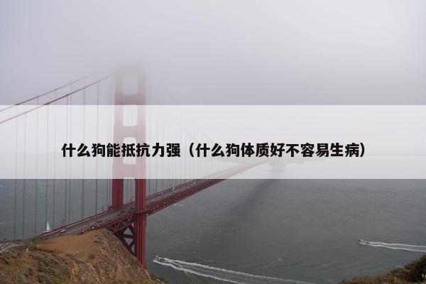 什么狗能抵抗力强（什么狗体质好不容易生病）