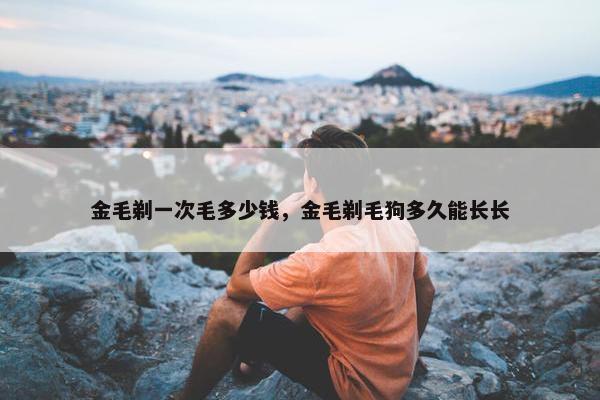 金毛剃一次毛多少钱，金毛剃毛狗多久能长长