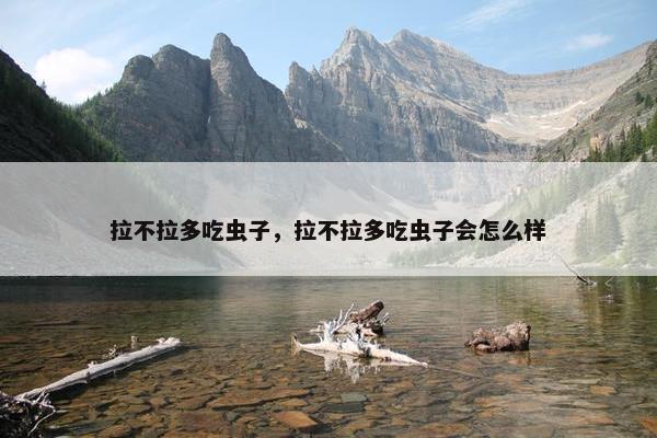 拉不拉多吃虫子，拉不拉多吃虫子会怎么样