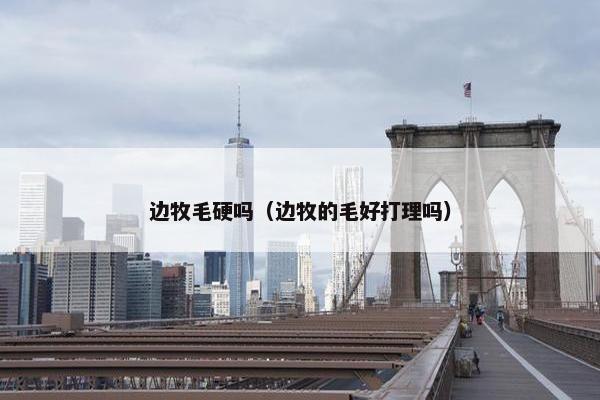 边牧毛硬吗（边牧的毛好打理吗）