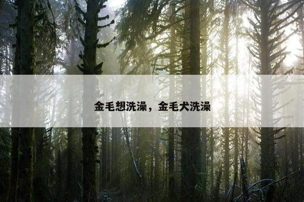 金毛想洗澡，金毛犬洗澡