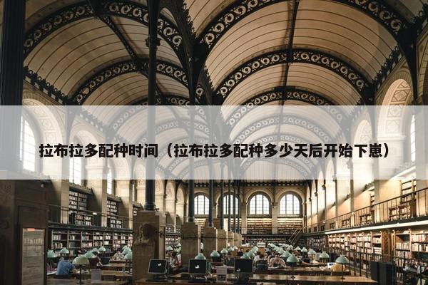 拉布拉多配种时间（拉布拉多配种多少天后开始下崽）