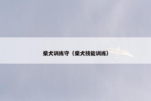 柴犬训练守（柴犬技能训练）
