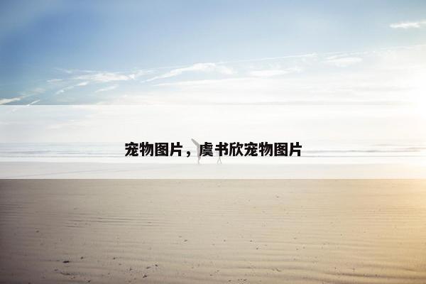 宠物图片，虞书欣宠物图片