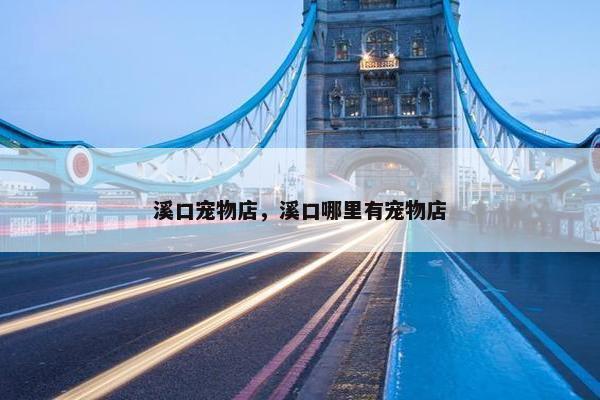 溪口宠物店，溪口哪里有宠物店