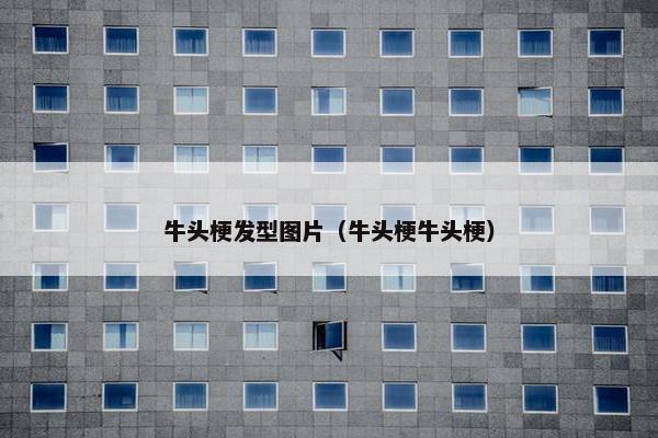牛头梗发型图片（牛头梗牛头梗）