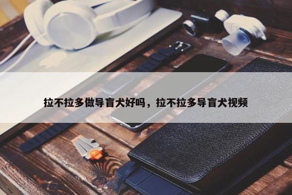 拉不拉多做导盲犬好吗，拉不拉多导盲犬视频
