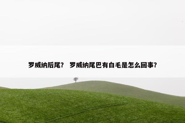 罗威纳后尾？ 罗威纳尾巴有白毛是怎么回事？