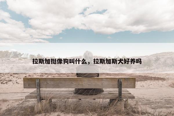 拉斯加挺像狗叫什么，拉斯加斯犬好养吗