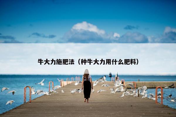 牛大力施肥法（种牛大力用什么肥料）