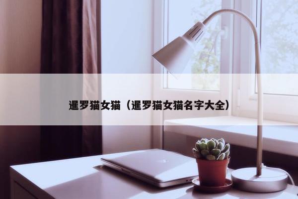 暹罗猫女猫（暹罗猫女猫名字大全）