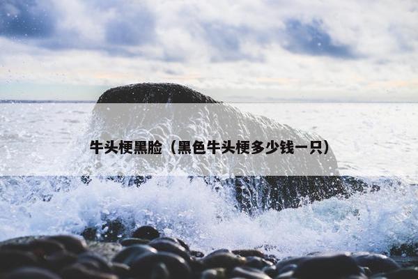 牛头梗黑脸（黑色牛头梗多少钱一只）