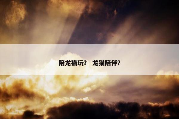 陪龙猫玩？ 龙猫陪伴？